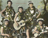 Hawaiian Ukulele Posters